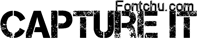 Capture it font