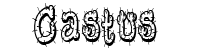 castus font