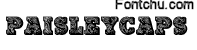 paisleycaps font