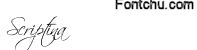 scriptina font
