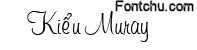 muray vni font